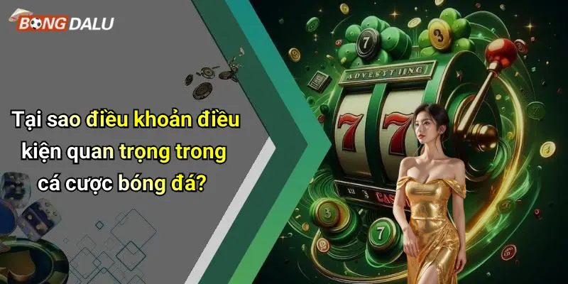 Tại sao điều khoản điều kiện quan trọng trong cá cược bóng đá?