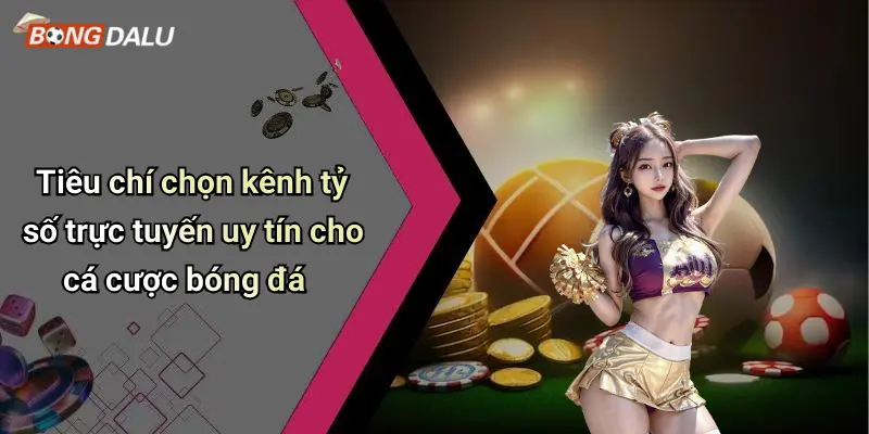 Tiêu chí chọn kênh tỷ số trực tuyến uy tín cho cá cược bóng đá