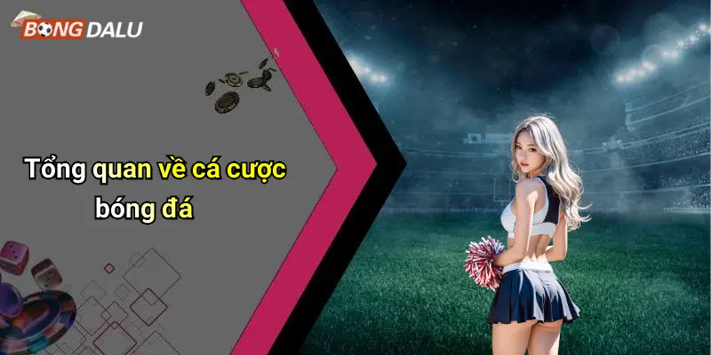 Tổng quan về cá cược bóng đá
