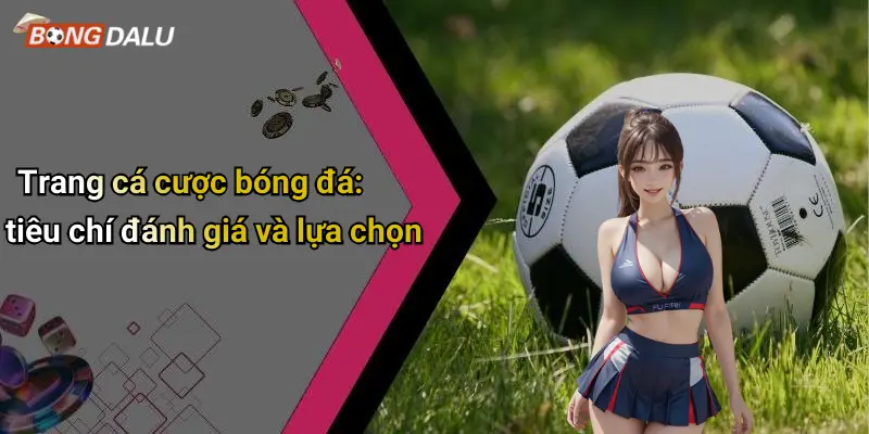 Trang cá cược bóng đá: tiêu chí đánh giá và lựa chọn