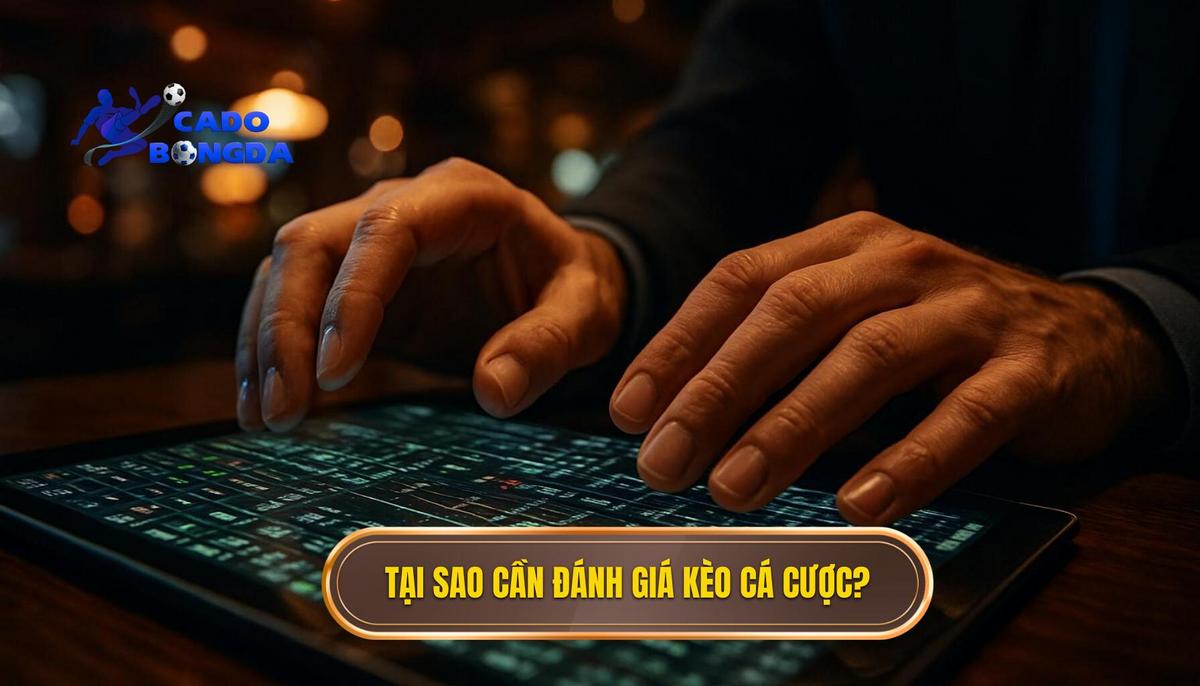 Tại Sao Cần Review Kèo Cá Cược Ngoại Hạng Anh Thường Xuyên_