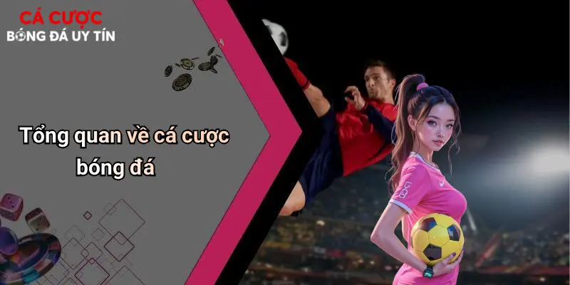 Tổng quan về cá cược bóng đá
