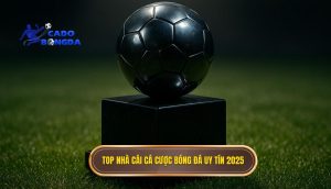 top nhà cái cá cược bóng đá uy tín 2025