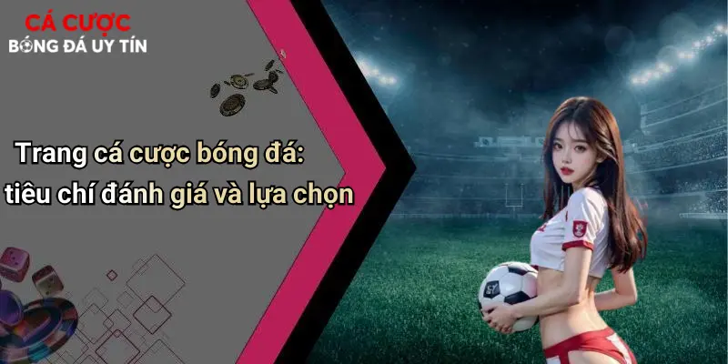 Trang cá cược bóng đá: tiêu chí đánh giá và lựa chọn