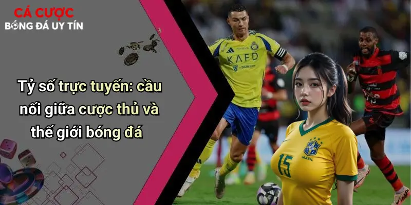 Tỷ số trực tuyến: cầu nối giữa cược thủ và thế giới bóng đá