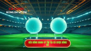 Kèo Đồng Banh Là Gì? Kinh Nghiệm Chơi Kèo Hòa Được Thua Từ Cao Thủ