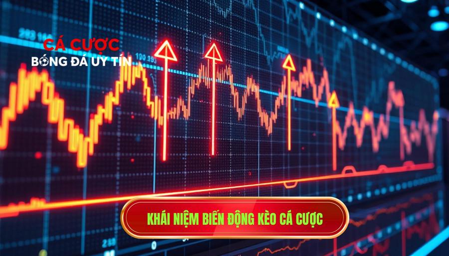1. Khái niệm biến động kèo cá cược